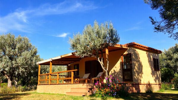 Top 5 raisons de choisir un mobil-home en Provence pour vos vacances